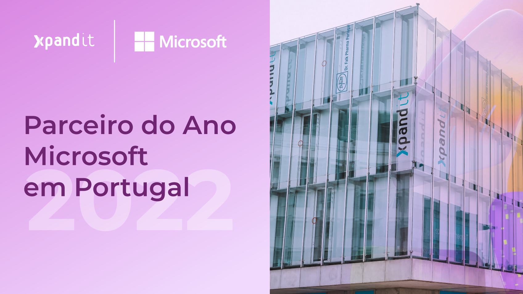 parceiro do ano microsoft